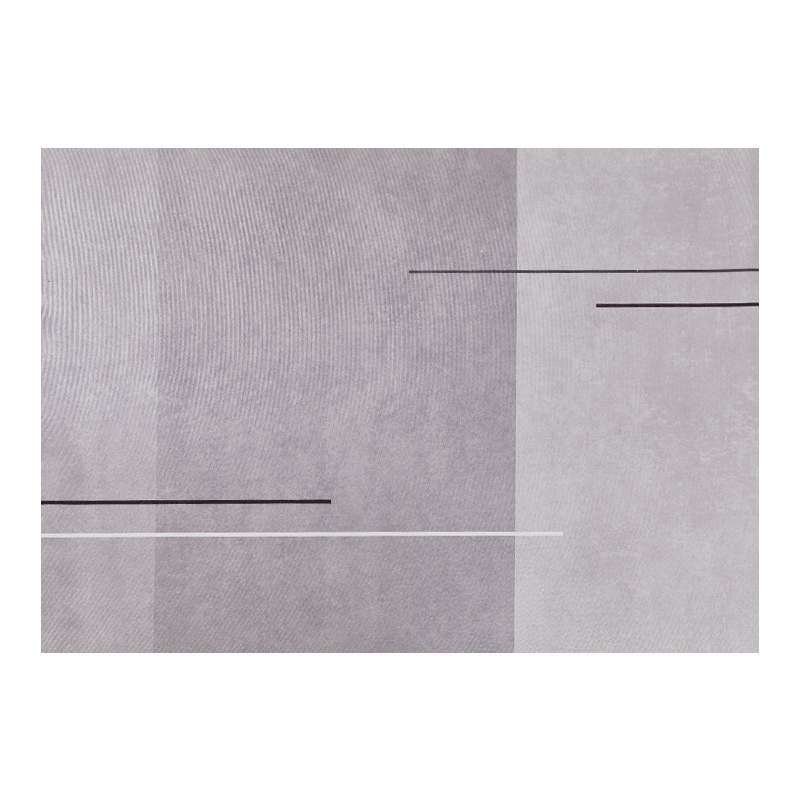 Sofa coffee table non-slip wear-resistant carpet 2